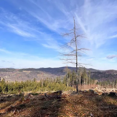 Bywaj Zdroj Affittacamere