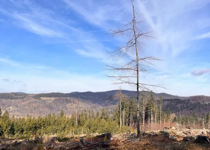 Bywaj Zdroj Guest house