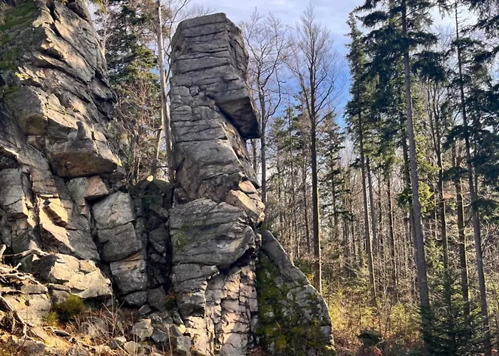 Guest house Bywaj Zdroj 3*